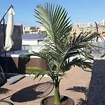 Luxury Bkm In Playa Del Duque * Costa Adeje