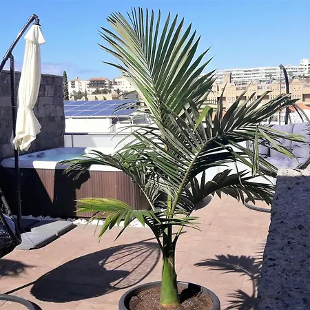 Luxury Bkm In Playa Del Duque Costa Adeje (Tenerife)