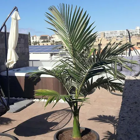 Luxury Bkm In Playa Del Duque * Costa Adeje (Tenerife)